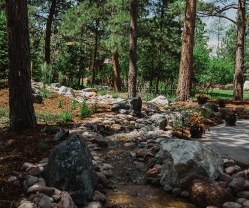 Backyard Streams with Landscape